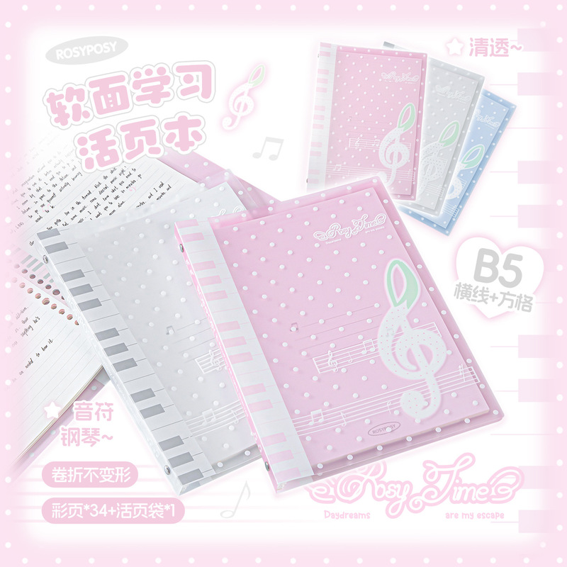 Rosyposy Melody Loose Leaf Not - огляд і ціна Blank Sheet Music Notebook
